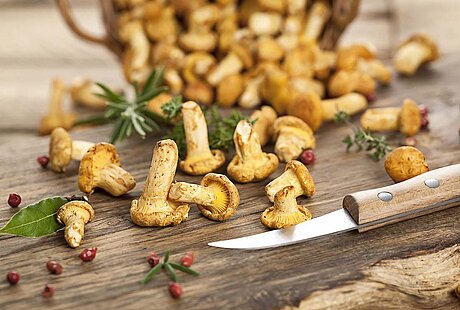 Pfifferlingszeit im Restaurant emil's im centrovital Hotel ©Marek Gottschalk/Fotolia.com Pfifferlingszeit im Restaurant emil's im centrovital Hotel ©Marek Gottschalk/Fotolia.com